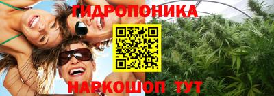 PSILOCYBIN Славянск-на-Кубани