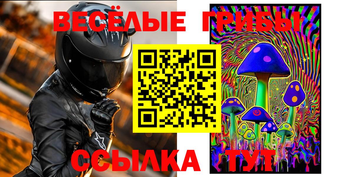 Псилоцибиновые грибы GOLDEN TEACHER Петрозаводск